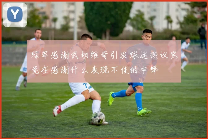 绿军感谢武切维奇引发球迷热议究竟在感谢什么表现不佳的中锋