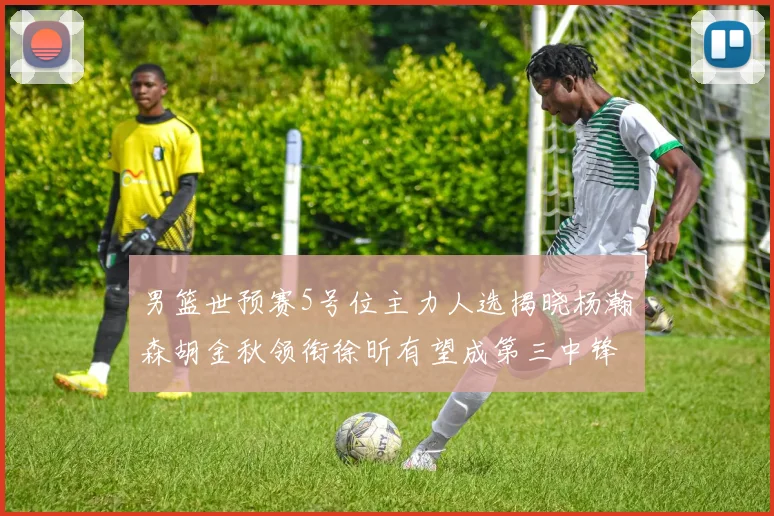 男篮世预赛5号位主力人选揭晓杨瀚森胡金秋领衔徐昕有望成第三中锋